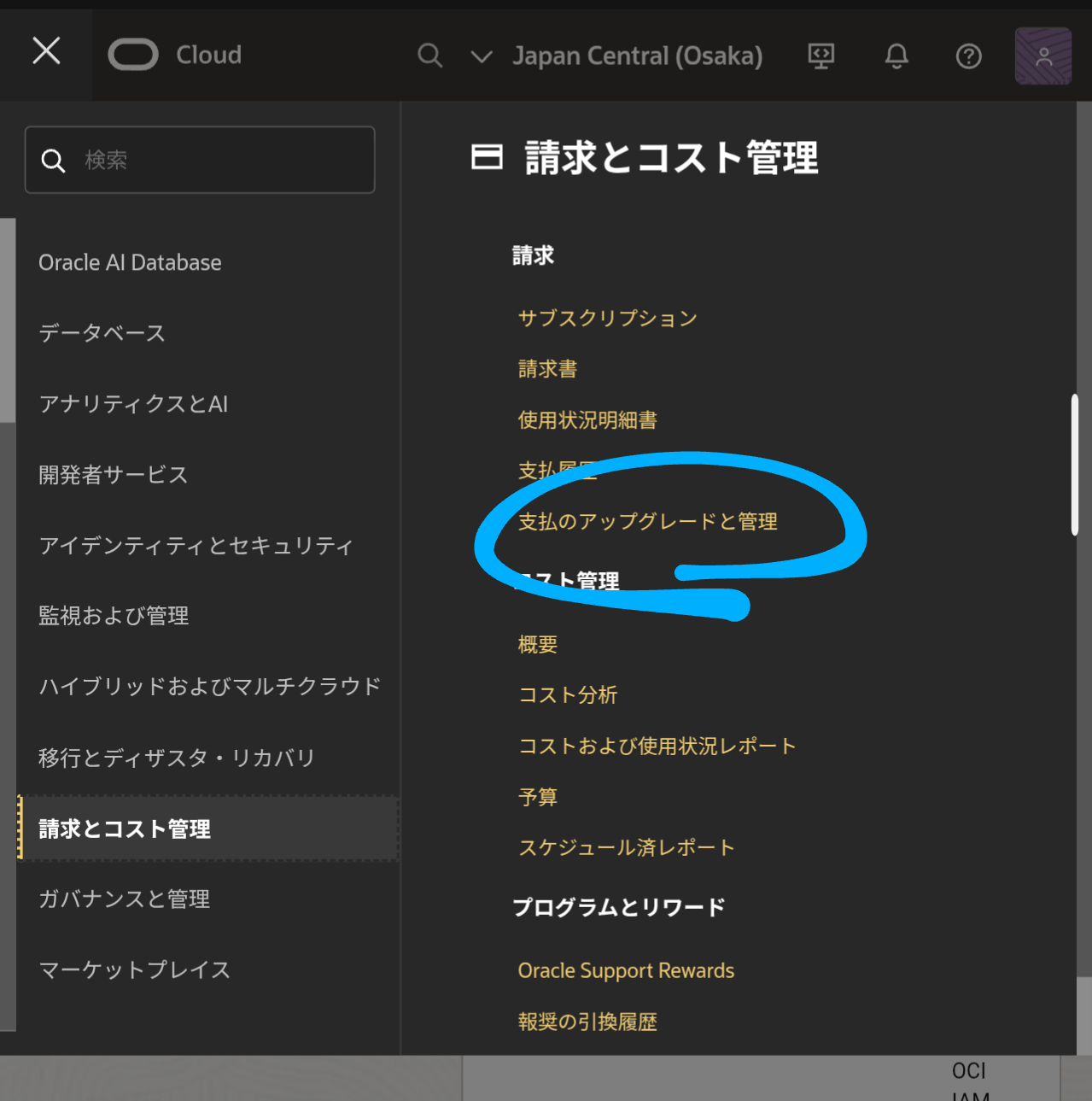 OCIのアップグレード画面